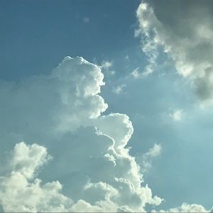 Meet your Posher, Phoenix